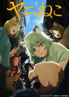 Chainsmoker Cat